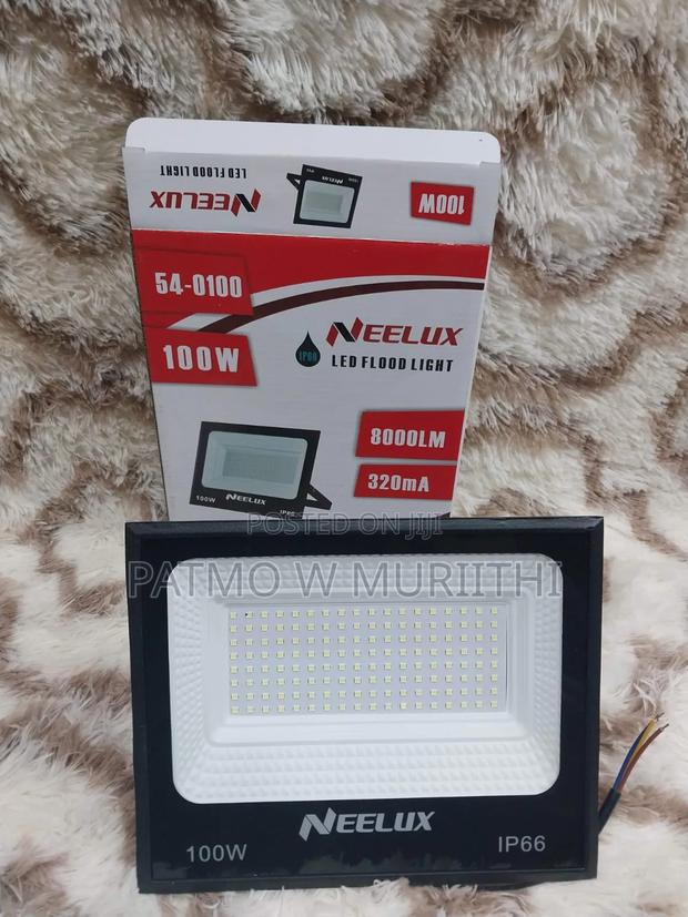 Neelux 100watts Solar Floodlight - main view