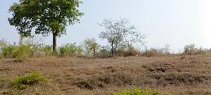 Kwale Vuga - main view