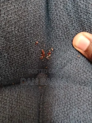 Fumigation and Pest Control