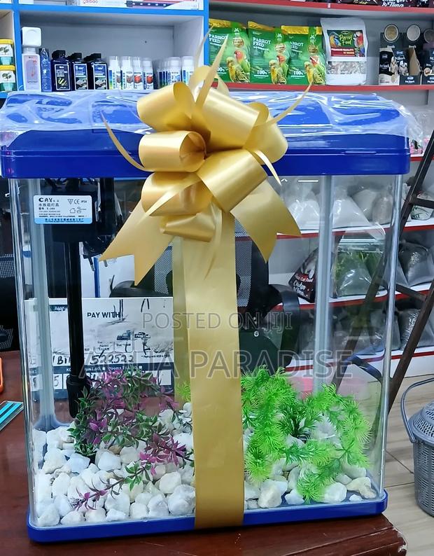 Birthday Valentines Gifts - main view