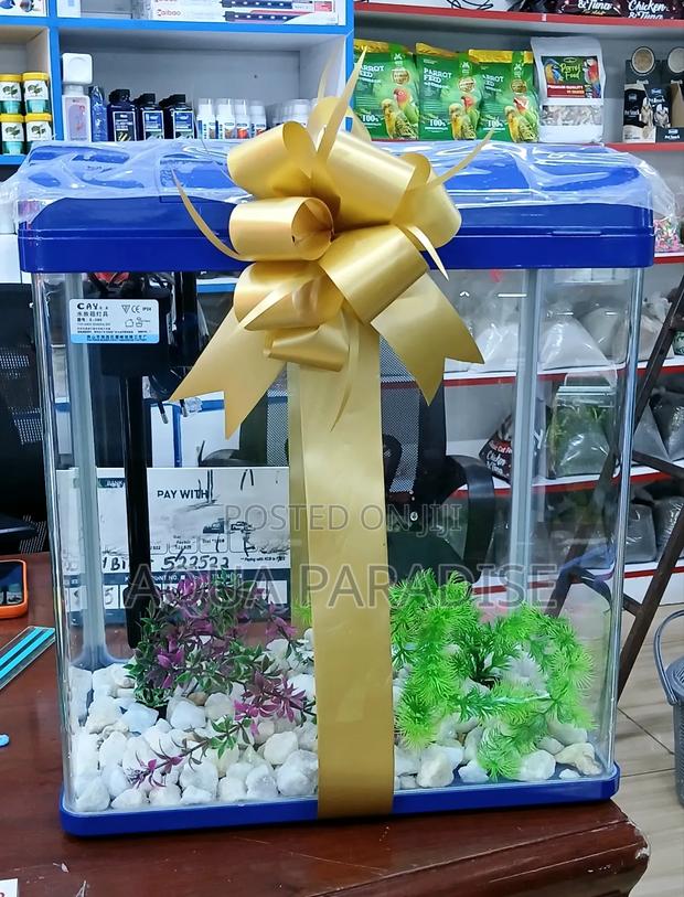 Birthday Valentines Gifts - thumbnail 4