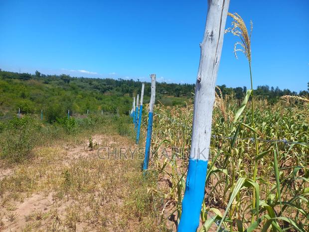 Ready to Build Plots in Kenya - thumbnail 16
