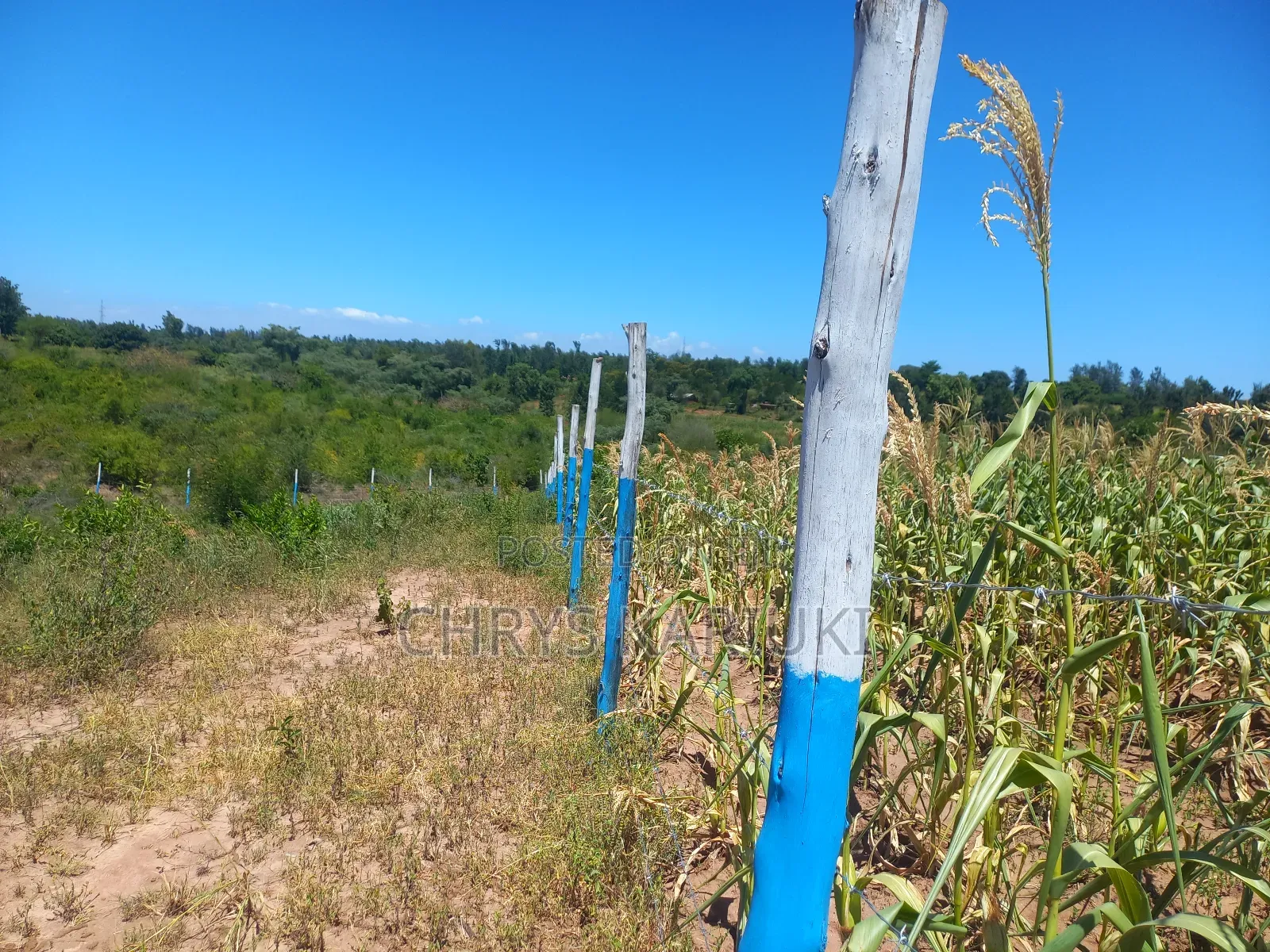 Ready to Build Plots in Kenya