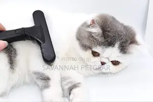 Razor Comb for Dogs (Rounded Teeth) Brush for Short Long Coat