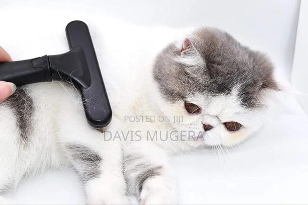 Razor Comb for Dogs (Rounded Teeth) Brush for Short Long Coat - thumbnail 3