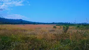 10 Acres for Sale in Mwiga – Bordering Aberdare National Park