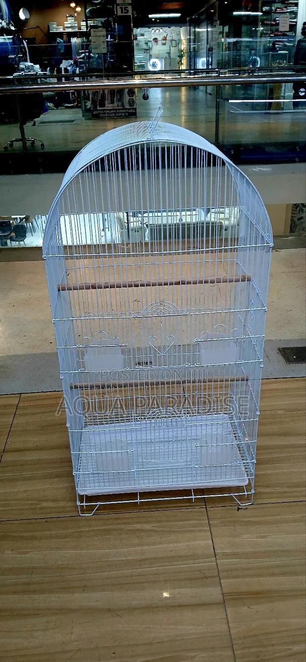 Birds Cages - thumbnail 4