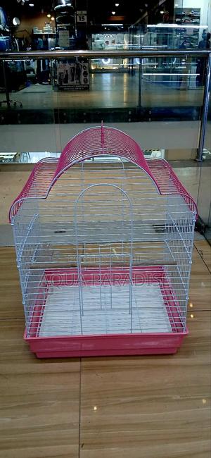Birds Cages - thumbnail 2
