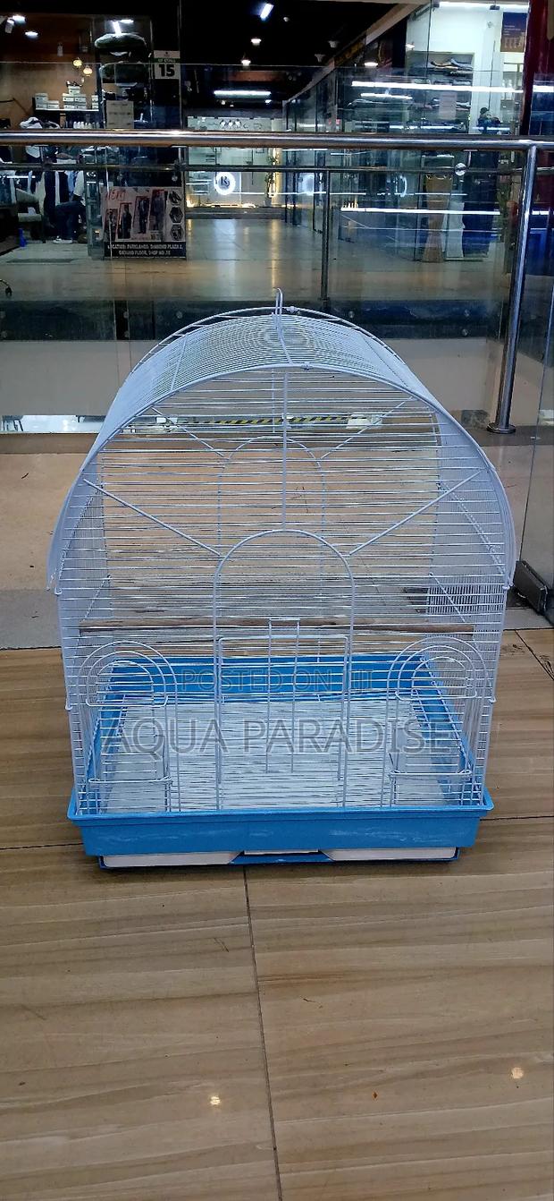 Birds Cages - thumbnail 3