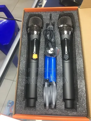 Atoz Saeapu Ttd M66 Professional 2 Reachargeble Microphone