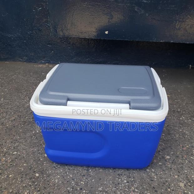 12 LTR Cooler Box / Ice Box - thumbnail 4