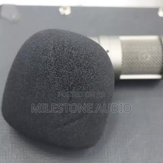 Condenser Microphone Sponge in Kenya - main view