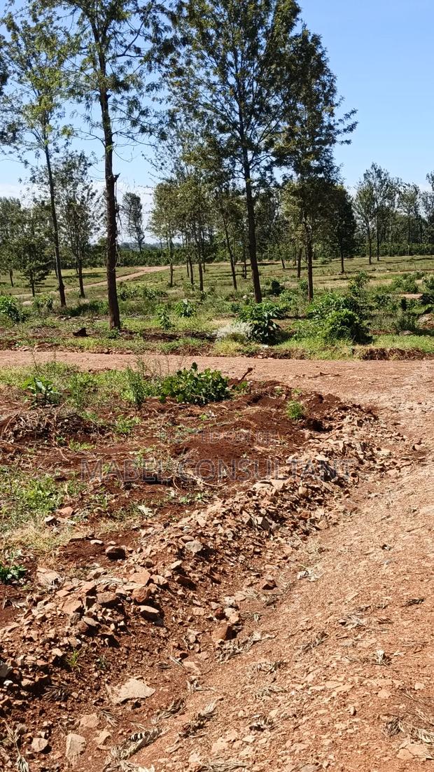 Prime Land 1/8 Plots Gated- Thika - main view