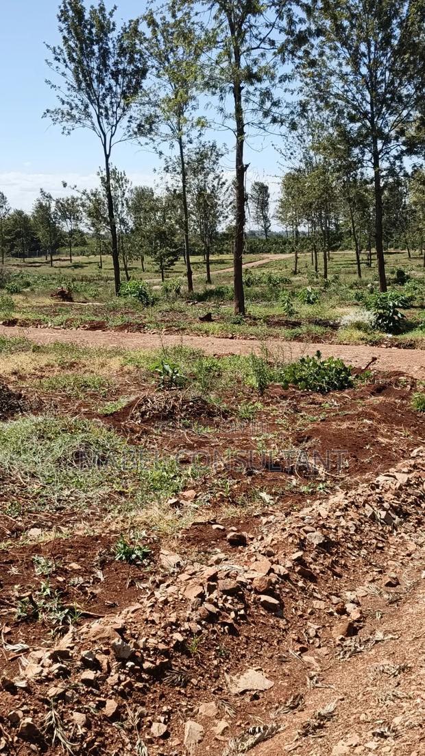 Prime Land 1/8 Plots Gated- Thika - thumbnail 2