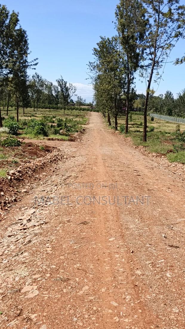 Prime Land 1/8 Plots Gated- Thika - thumbnail 3
