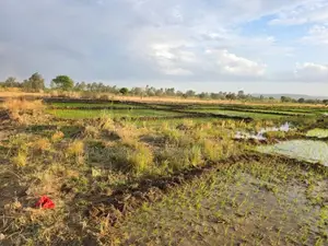 Land for Sale 6 Acres Muranga