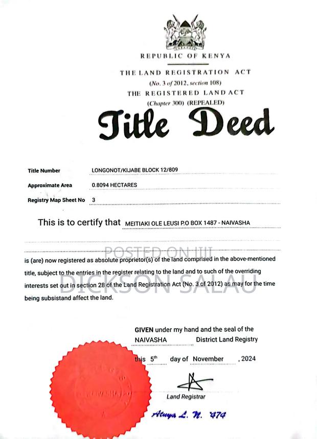 2 Hectares For Sale - thumbnail 3