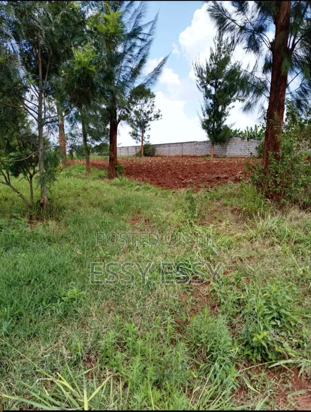 Ruiru 1/4 Acre , Along Ruiru-Githunguri Road