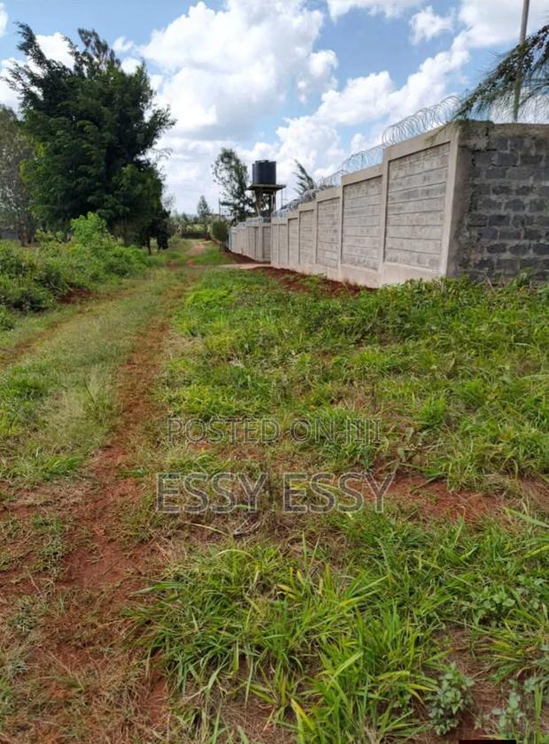 Ruiru 1/4 Acre , Along Ruiru-Githunguri Road - thumbnail 2