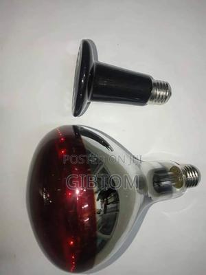 Infrared Bulb - main view