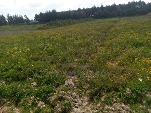 Karen Bogani Rd 1 Acre for Sale - thumbnail 2