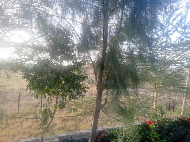 Half Acre for Sale Karen Hardy - main view