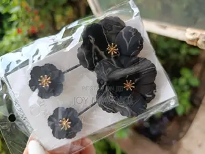 Loop Earings