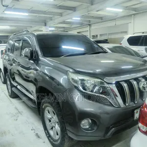 Toyota Land Cruiser Prado 2010 Gray