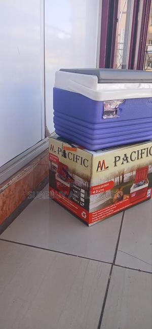Pacific Mini Cooler Bag 4.5l for Food Drinks - thumbnail 2