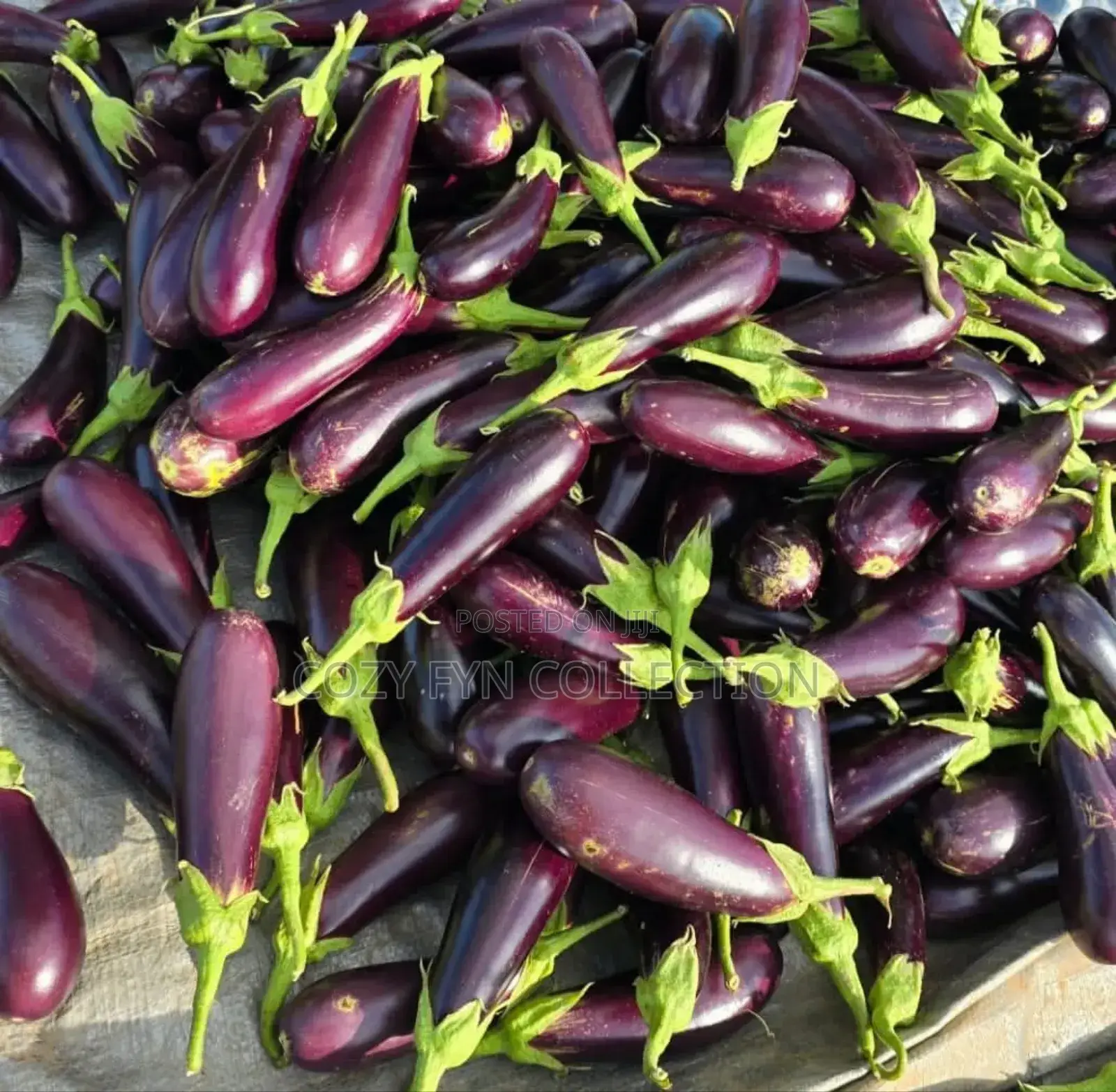 Long Rafaya