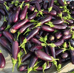 Long Rafaya - main view