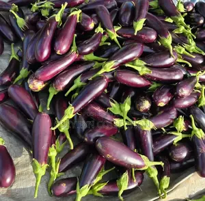 Long Rafaya