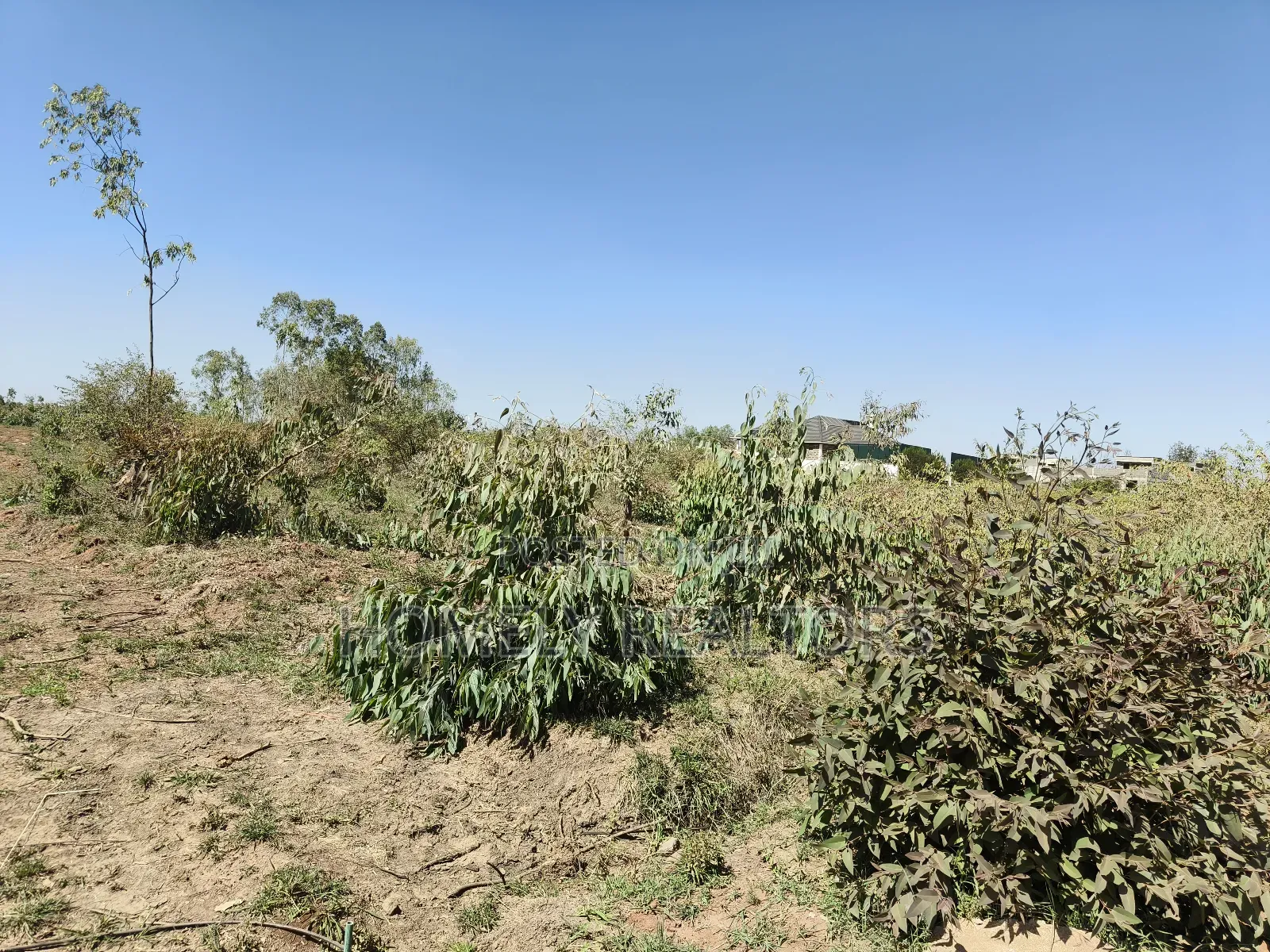 Mixed Use Quarter Acre Plot for Sale in Ongata Rongai Near Nazarene