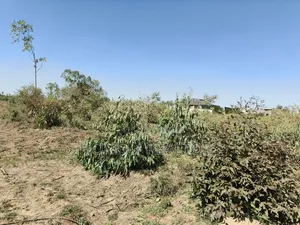 Mixed Use Quarter Acre Plot for Sale in Ongata Rongai Near Nazarene