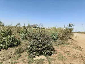 Mixed Use Quarter Acre Plot for Sale in Ongata Rongai Near Nazarene