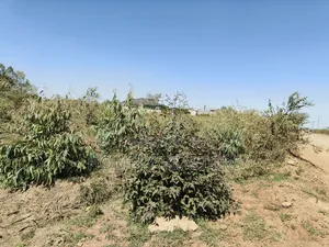 Mixed Use Quarter Acre Plot for Sale in Ongata Rongai Near Nazarene