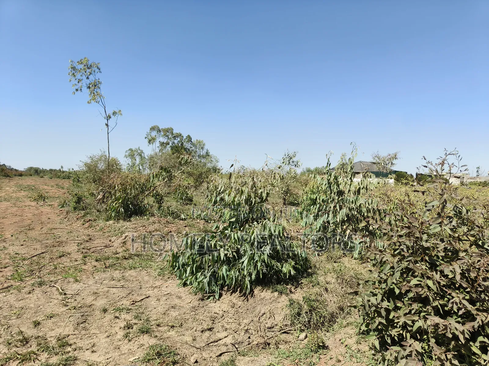 Mixed Use Quarter Acre Plot for Sale in Ongata Rongai Near Nazarene
