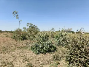 Mixed Use Quarter Acre Plot for Sale in Ongata Rongai Near Nazarene
