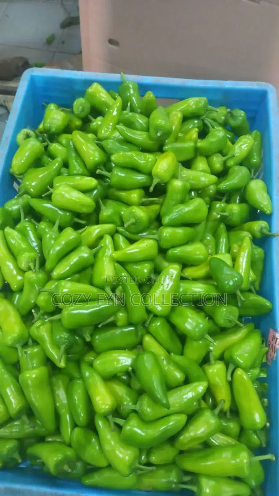 Bullet Chilli