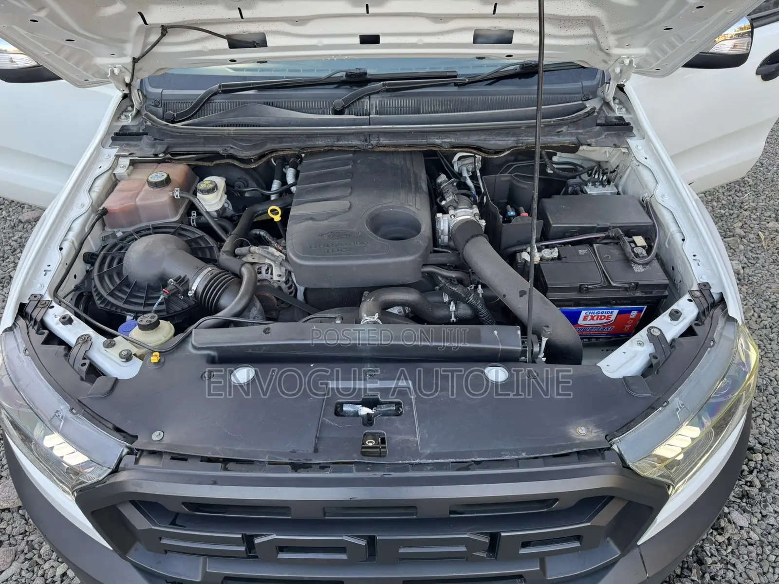 Ford Ranger Wildtrak 2014 White