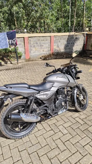 Bajaj Pulsar 180 2015 Gray