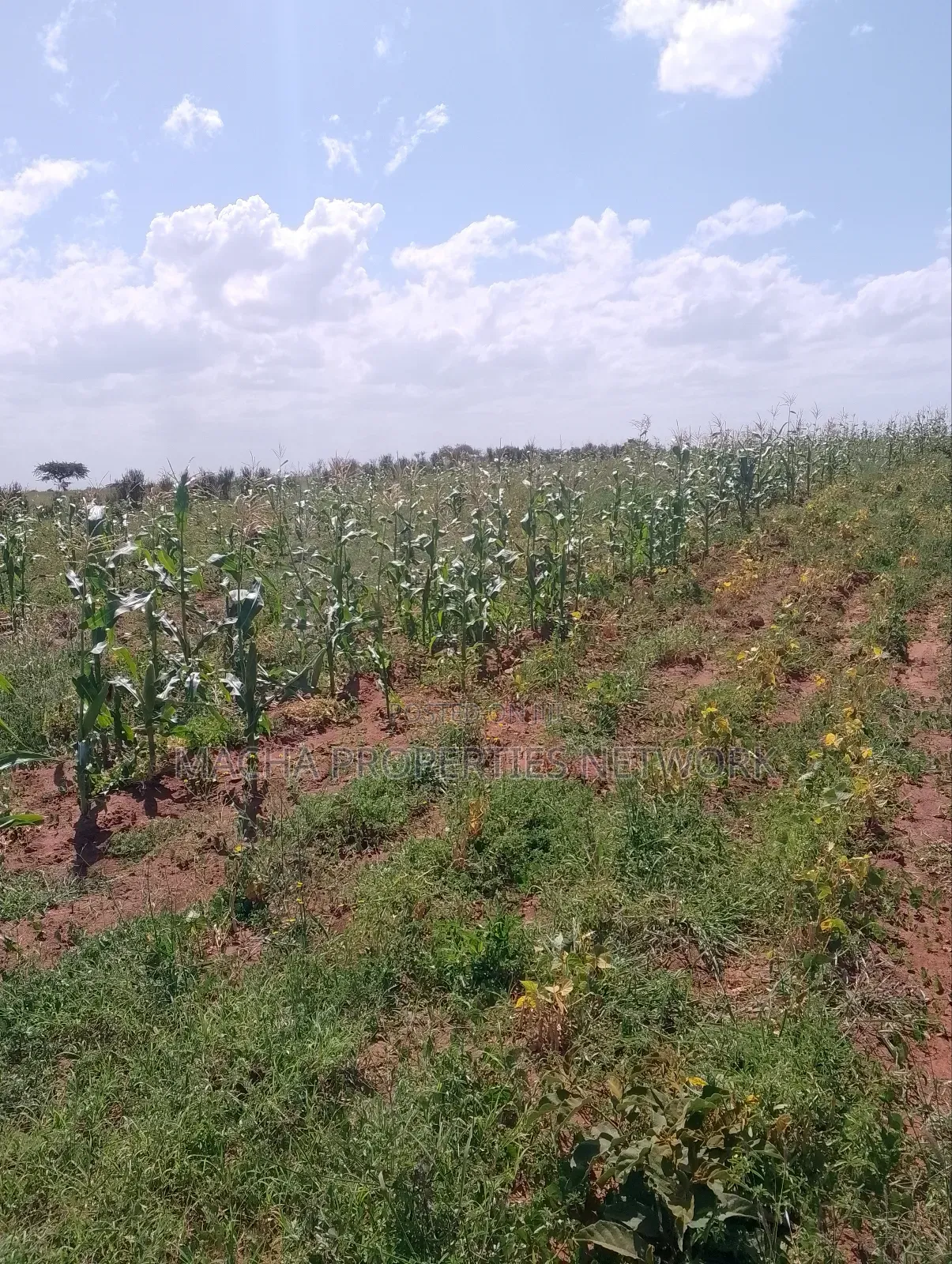 Konza 10 .08 Acres for Sale