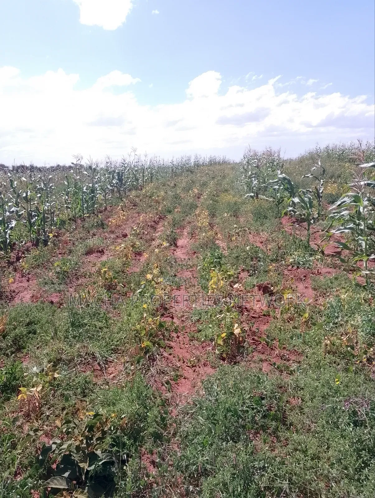 Konza 10 .08 Acres for Sale