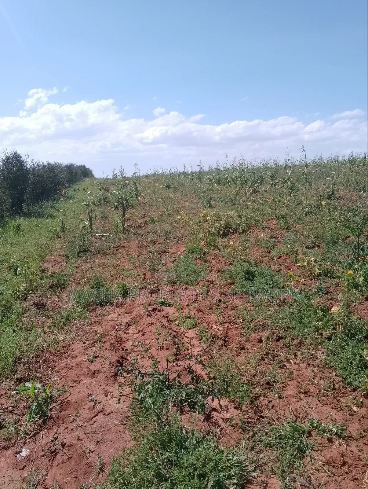 Konza 10 .08 Acres for Sale