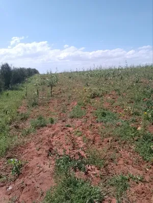Konza 10 .08 Acres for Sale