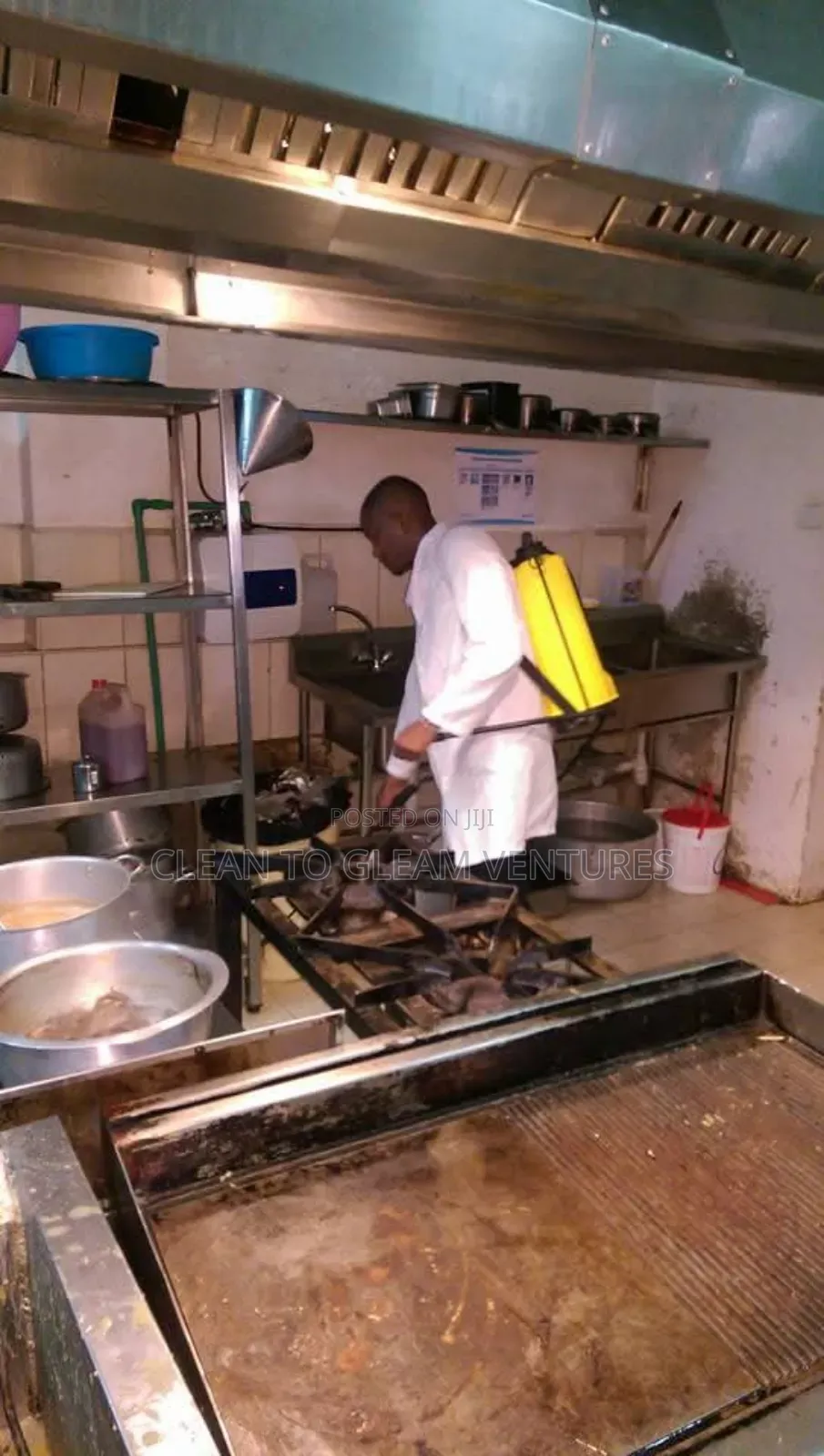Fumigation and Pest Control Services With a Warranty
