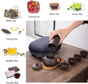 Travel Ceramic Kung Fu Teapot Set*