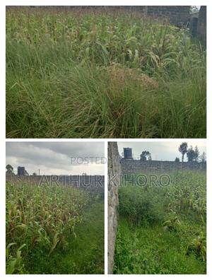 Prime Property in Nakuru - thumbnail 2