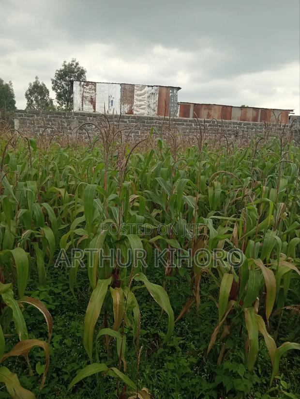 Prime Property in Nakuru - thumbnail 5
