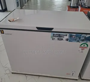 250litres Deep Freezer Rebune
